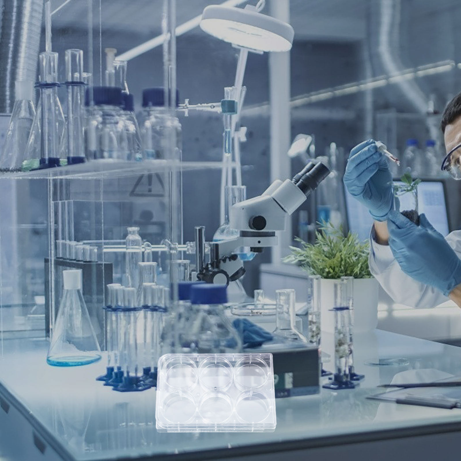 Tissue Culture Plate 6 Wells S - Lab Equipment recension och pris